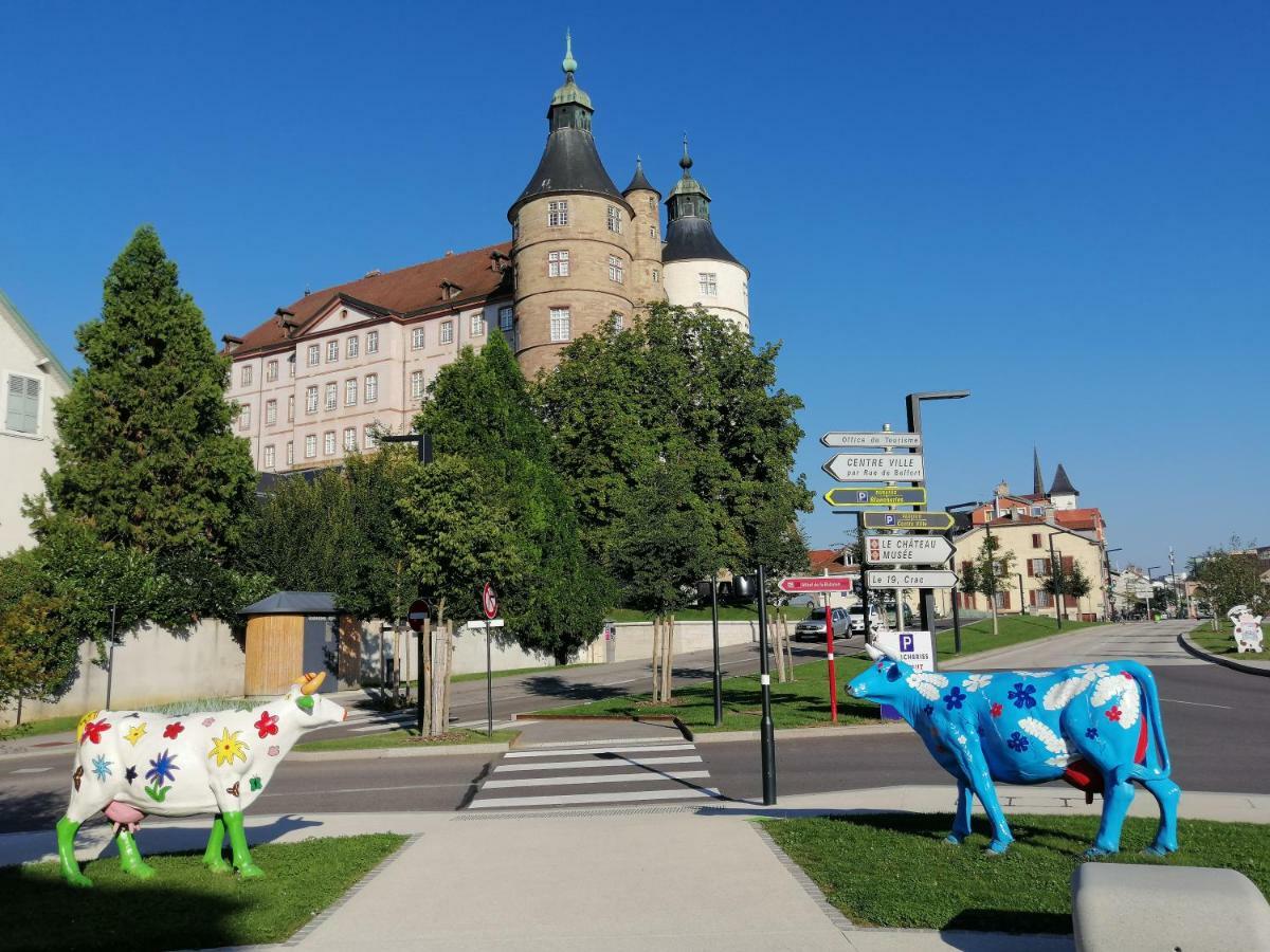 Le Petit Velotte - Un Cocon En Coeur De Ville Lägenhet Montbéliard Exteriör bild